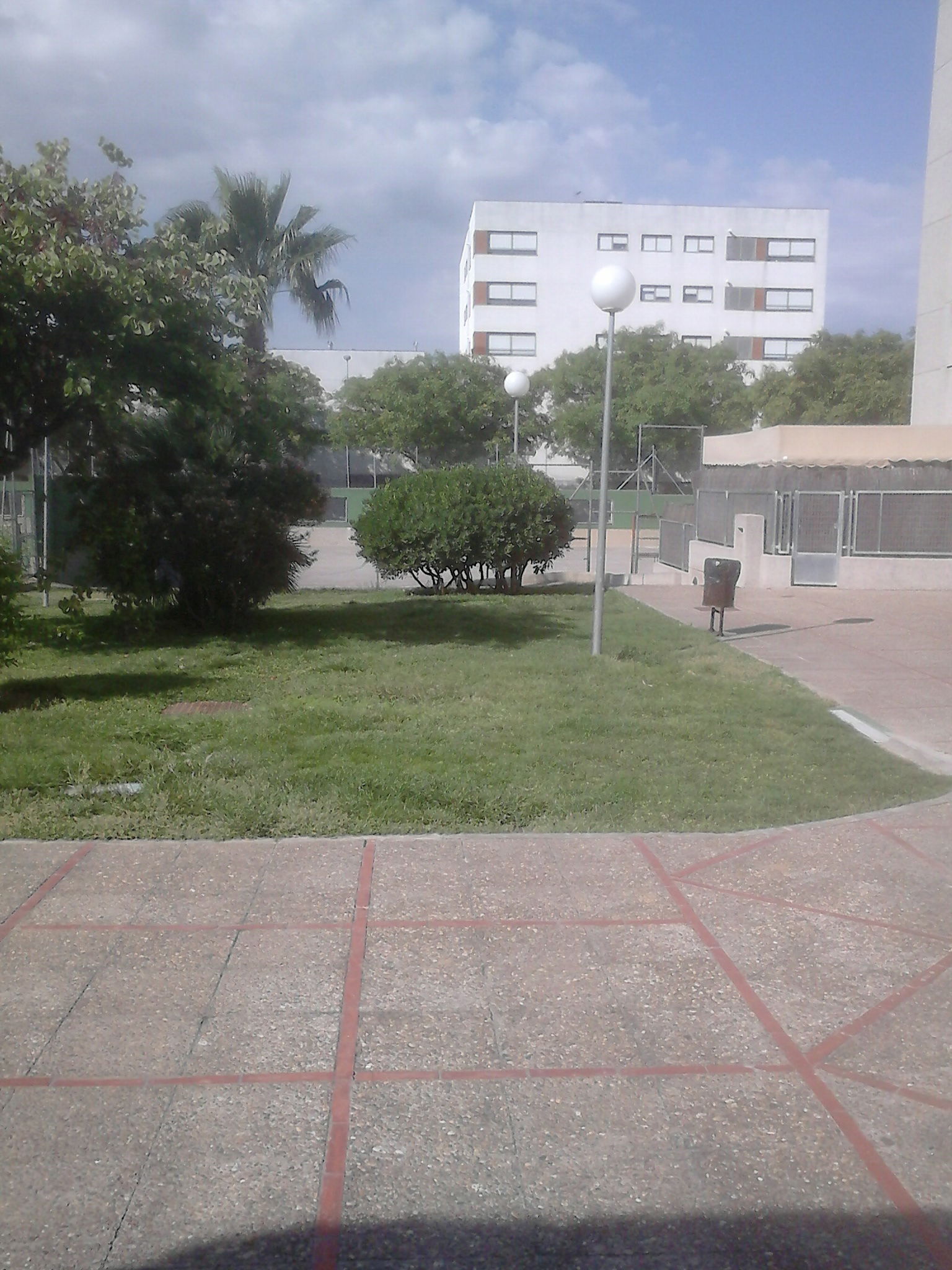 Homestay Jerez de la Frontera 104655