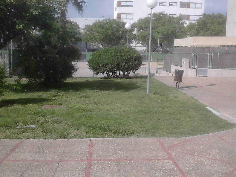 Gastfamilie Jerez de la Frontera 104655-2