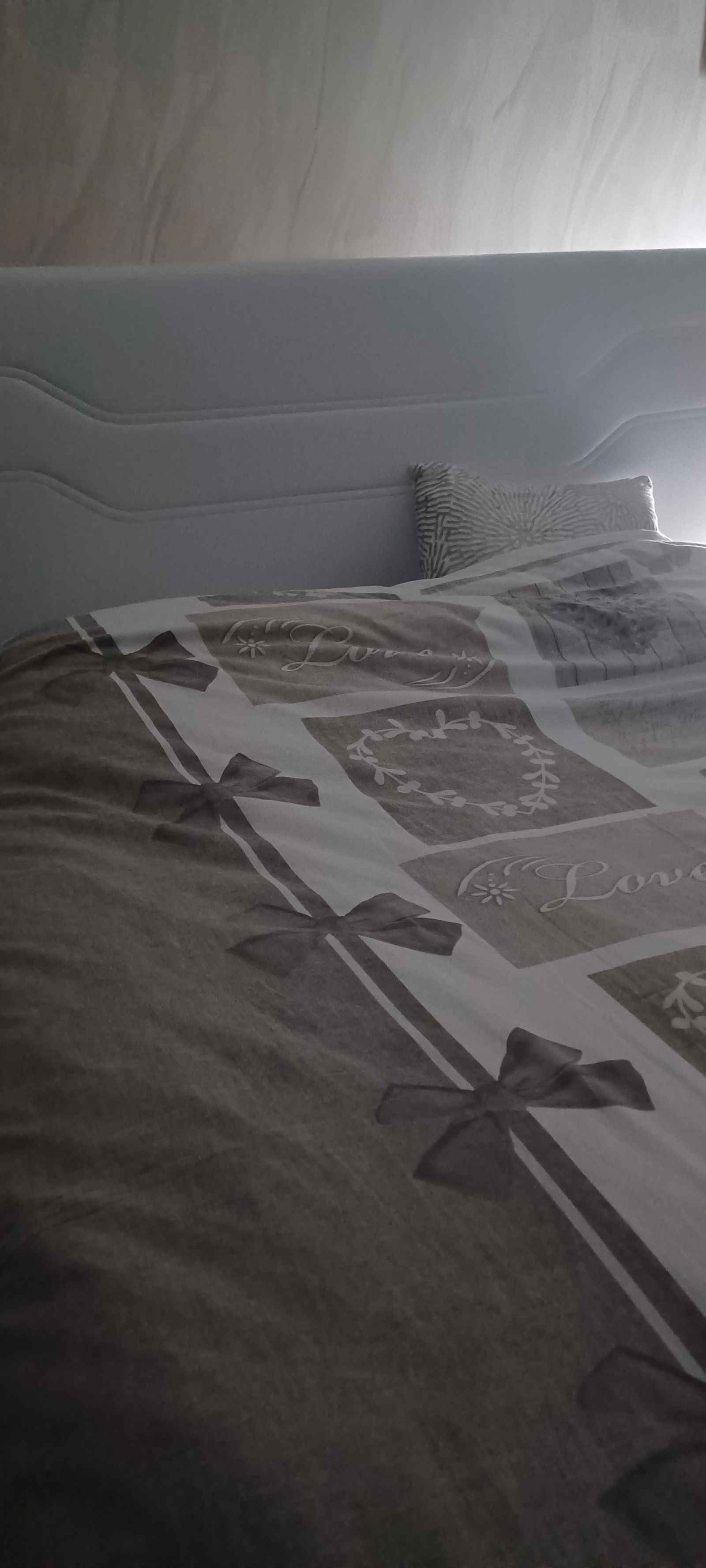 Homestay Tignieu-Jameyzieu 351546