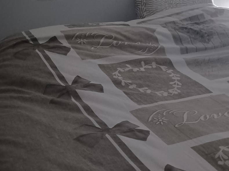 Chambre Chez L'habitant Tignieu-Jameyzieu 351546-2