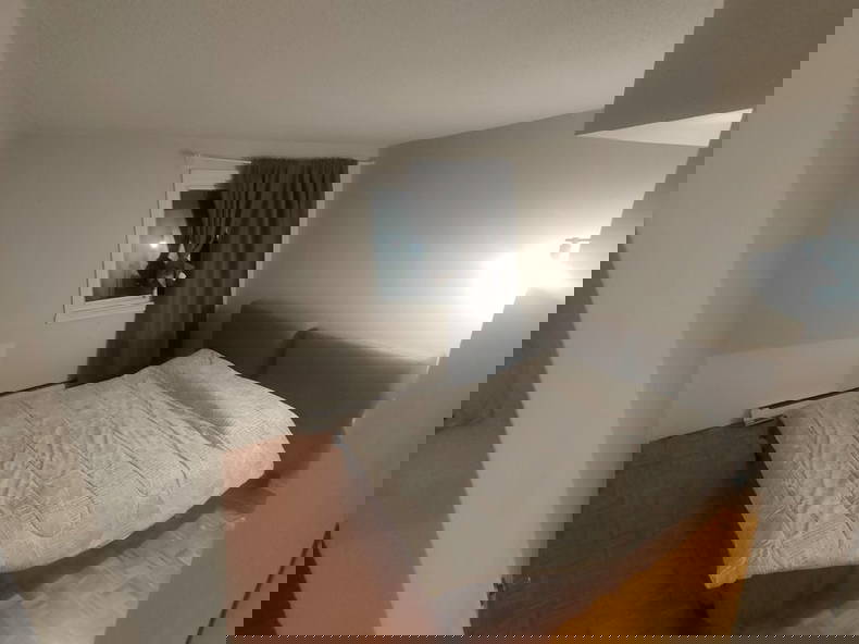 Colocation Montréal 263166-2