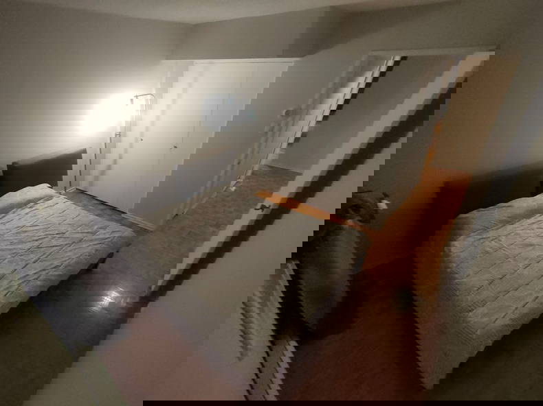 Colocation Montréal 263166-4