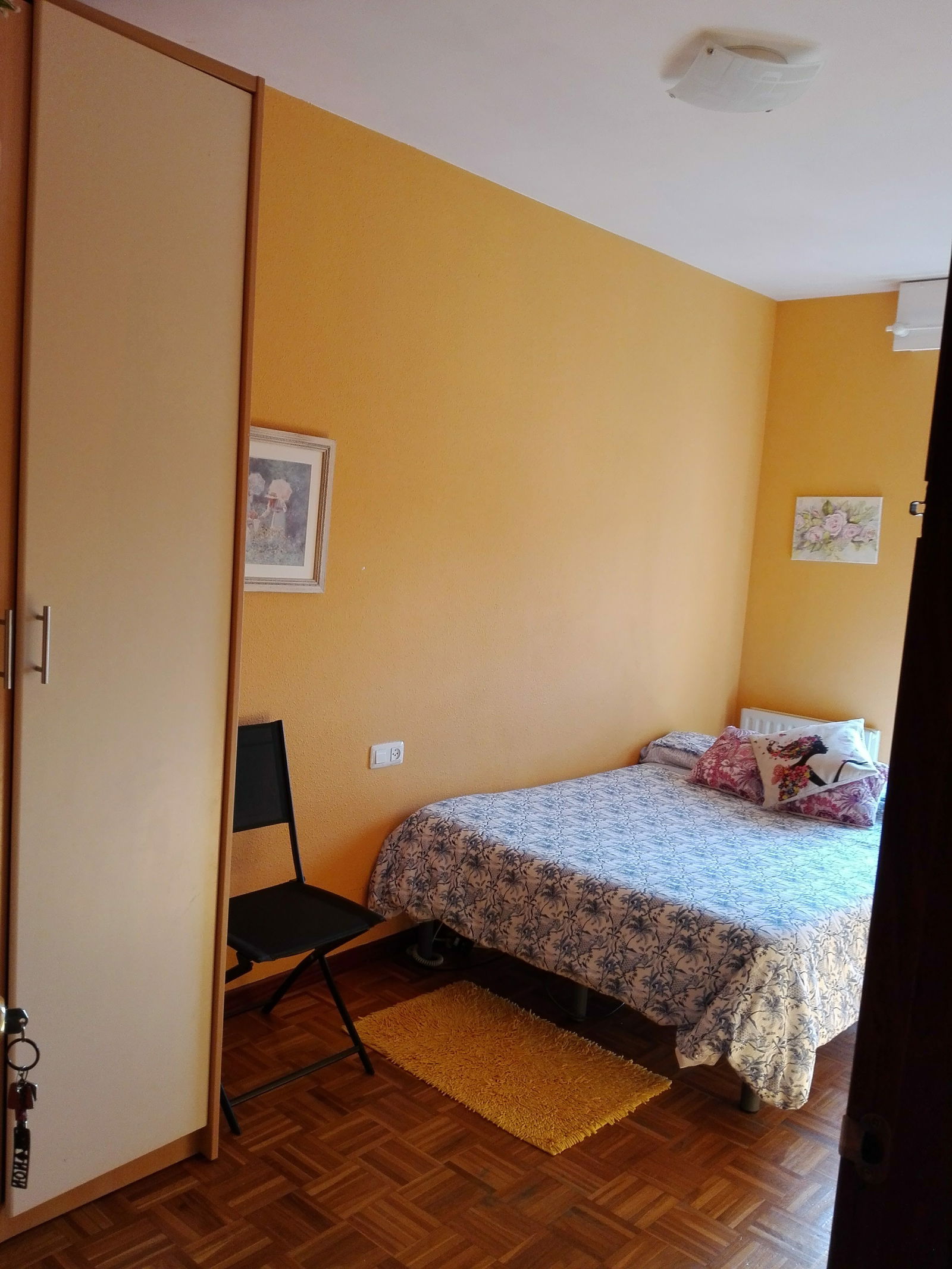 Colocation Donostia 256151