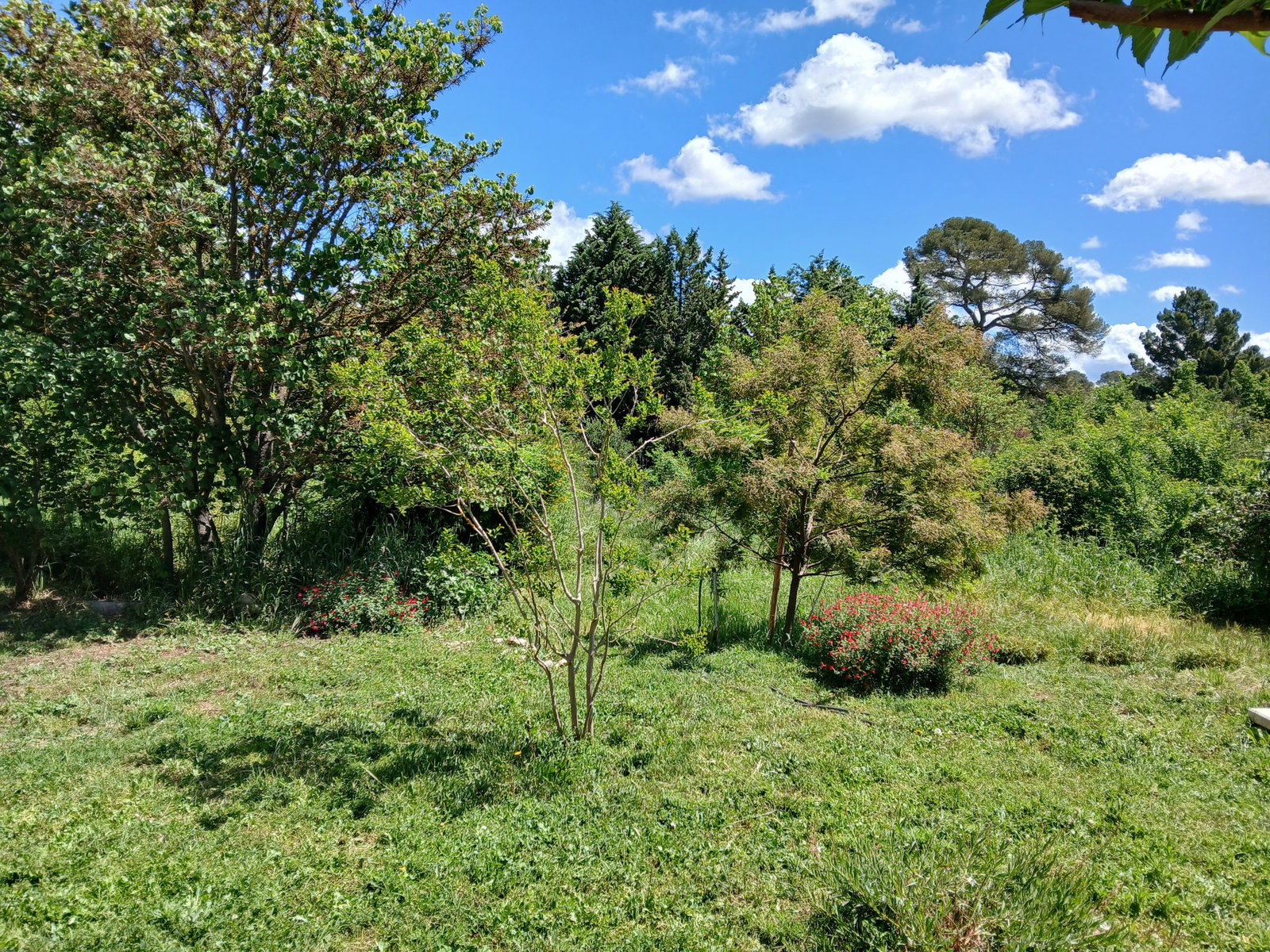 Homestay Aix-en-Provence 28196