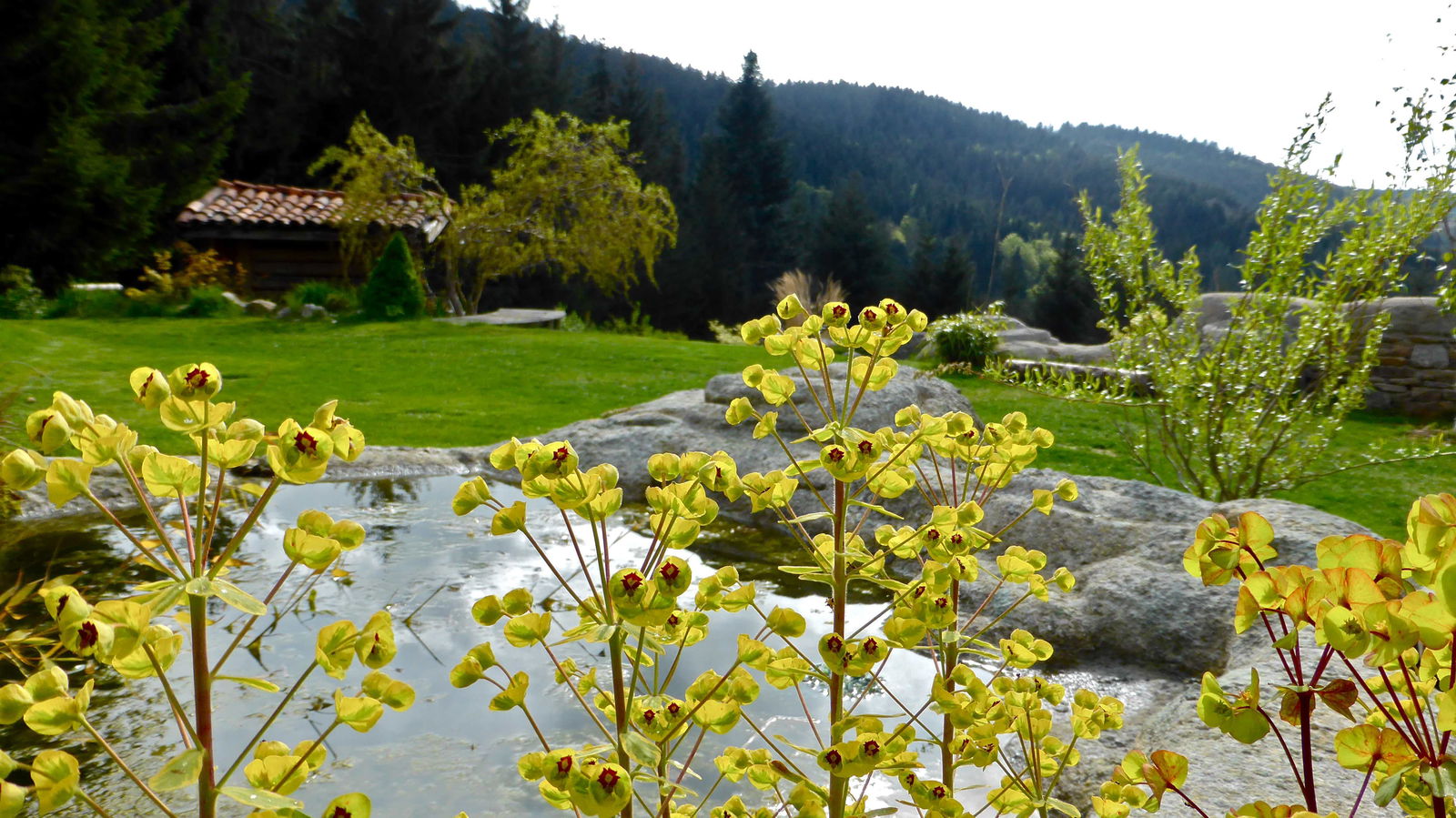 Homestay Planfoy 101806