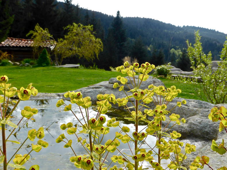Chambre Chez L'habitant Planfoy 101806-3