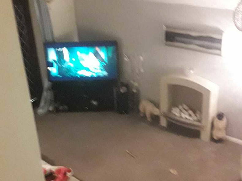 Gastgezin Chatham 179084-2