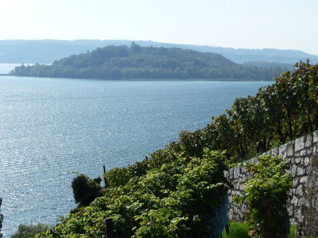 Bed And Breakfast Le Landeron 37205