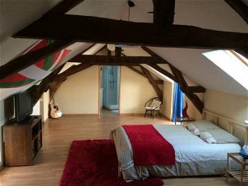 Room For Rent Le Lion-D'angers 177731