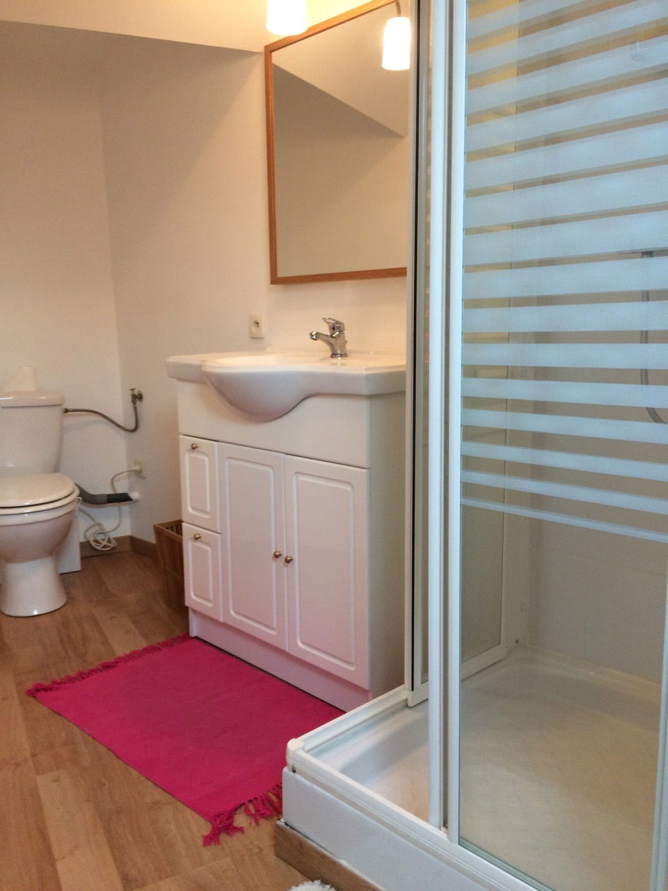 Homestay Le Lion-d'Angers 177731