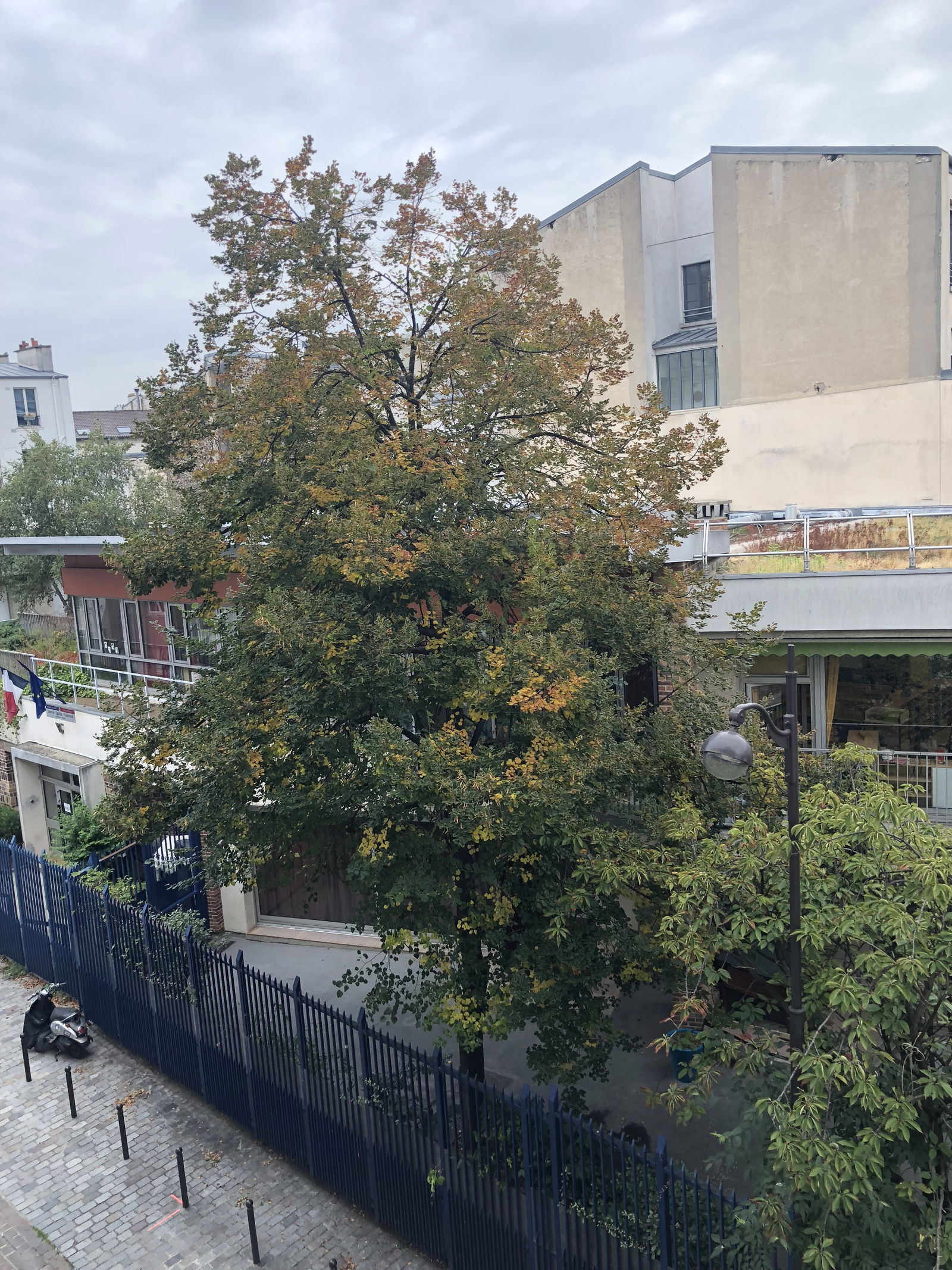 Homestay Paris 231245