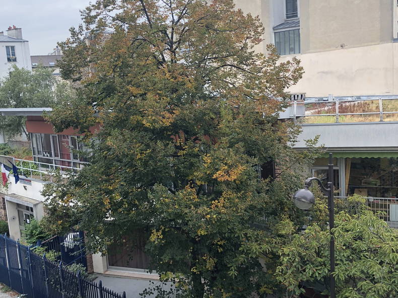 Quedarse En Casa Paris 231245-2