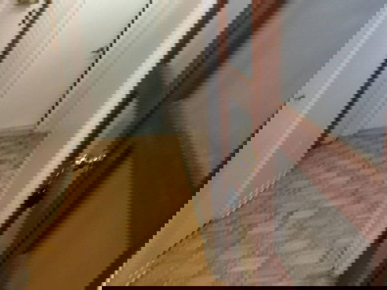 Colocation Montréal 266901-3