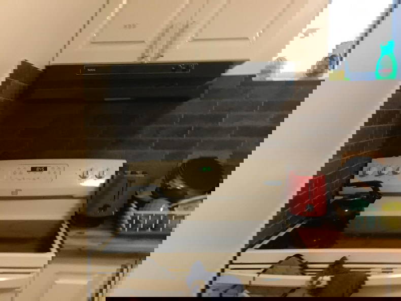 Colocation Montréal 266901-4