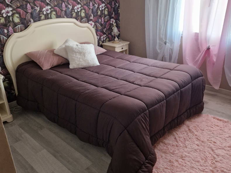 Homestay Vignoux-sur-Barangeon 289903-1