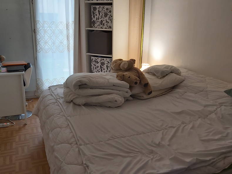 Homestay Paris 339969-3