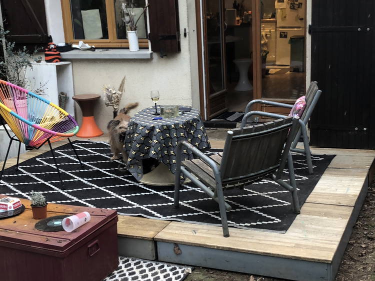 Chambre Chez L'habitant Rambouillet 304606-2