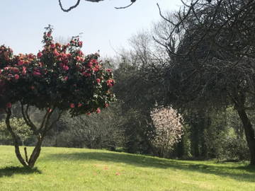 Chambre Chez L'habitant Irvillac 311301-9