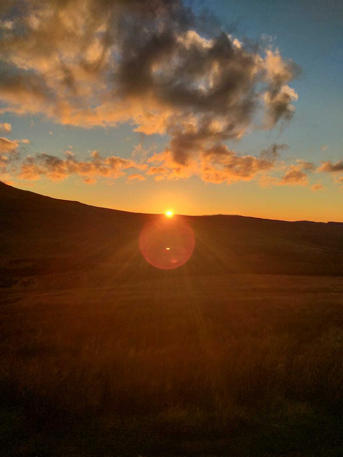 Hemvistelse Brymbo 94669