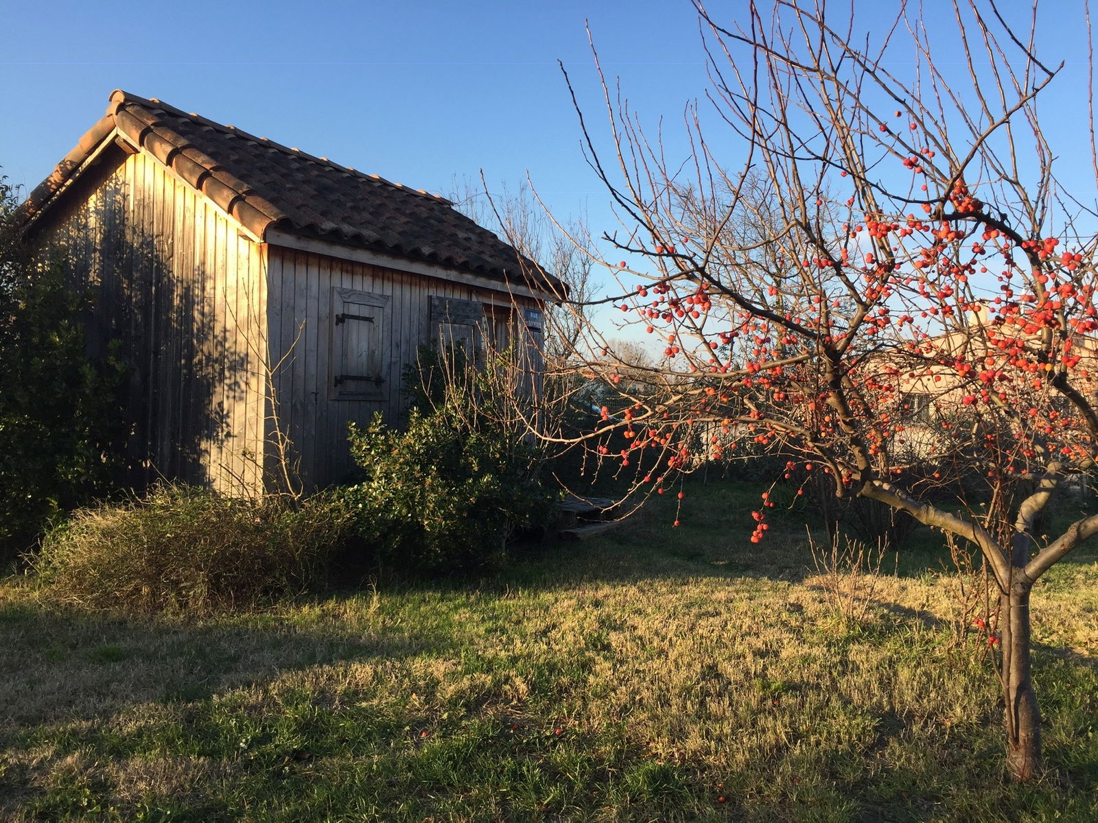 Homestay Sorgues 217320