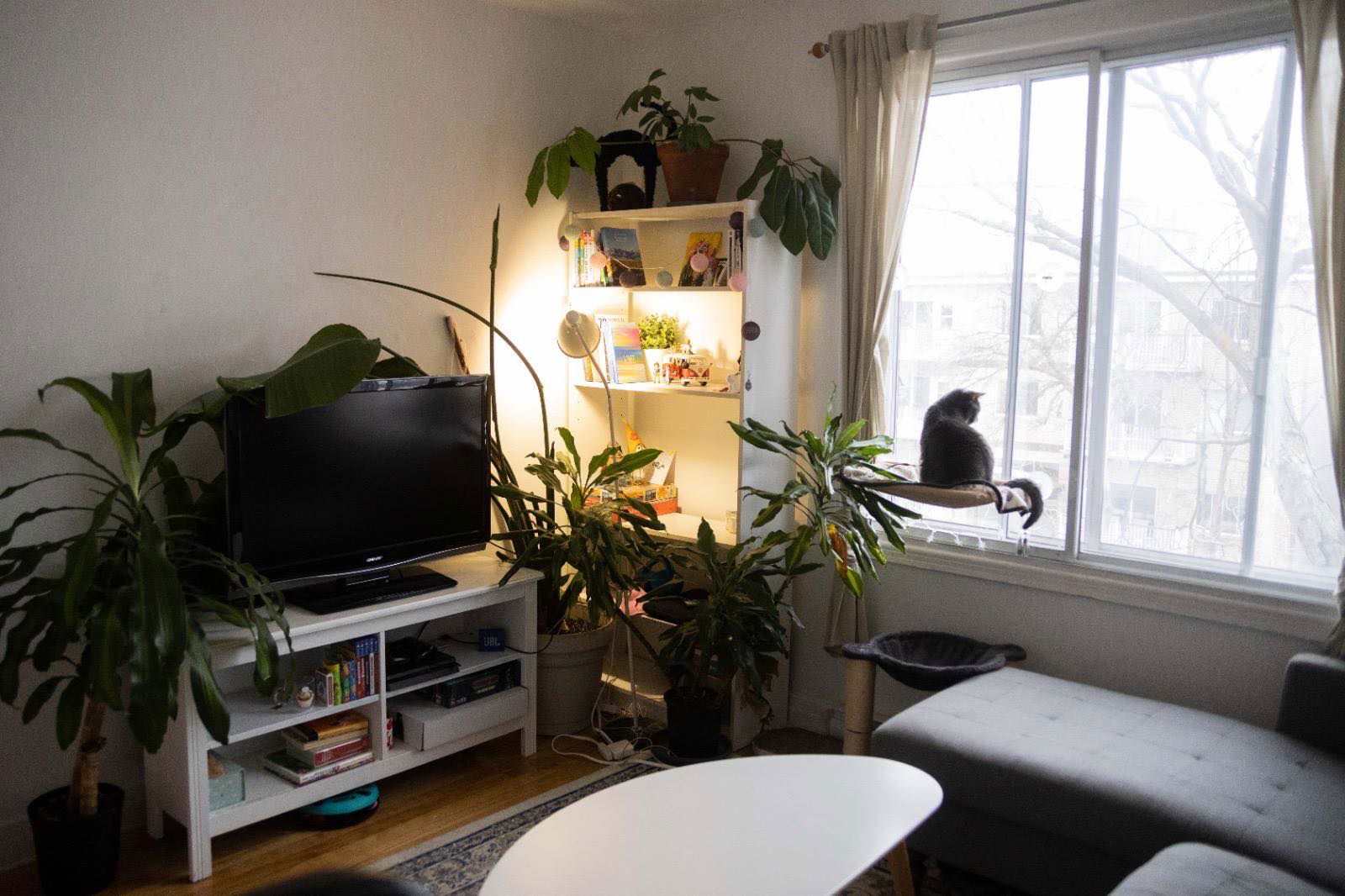 Colocation Montréal 397965