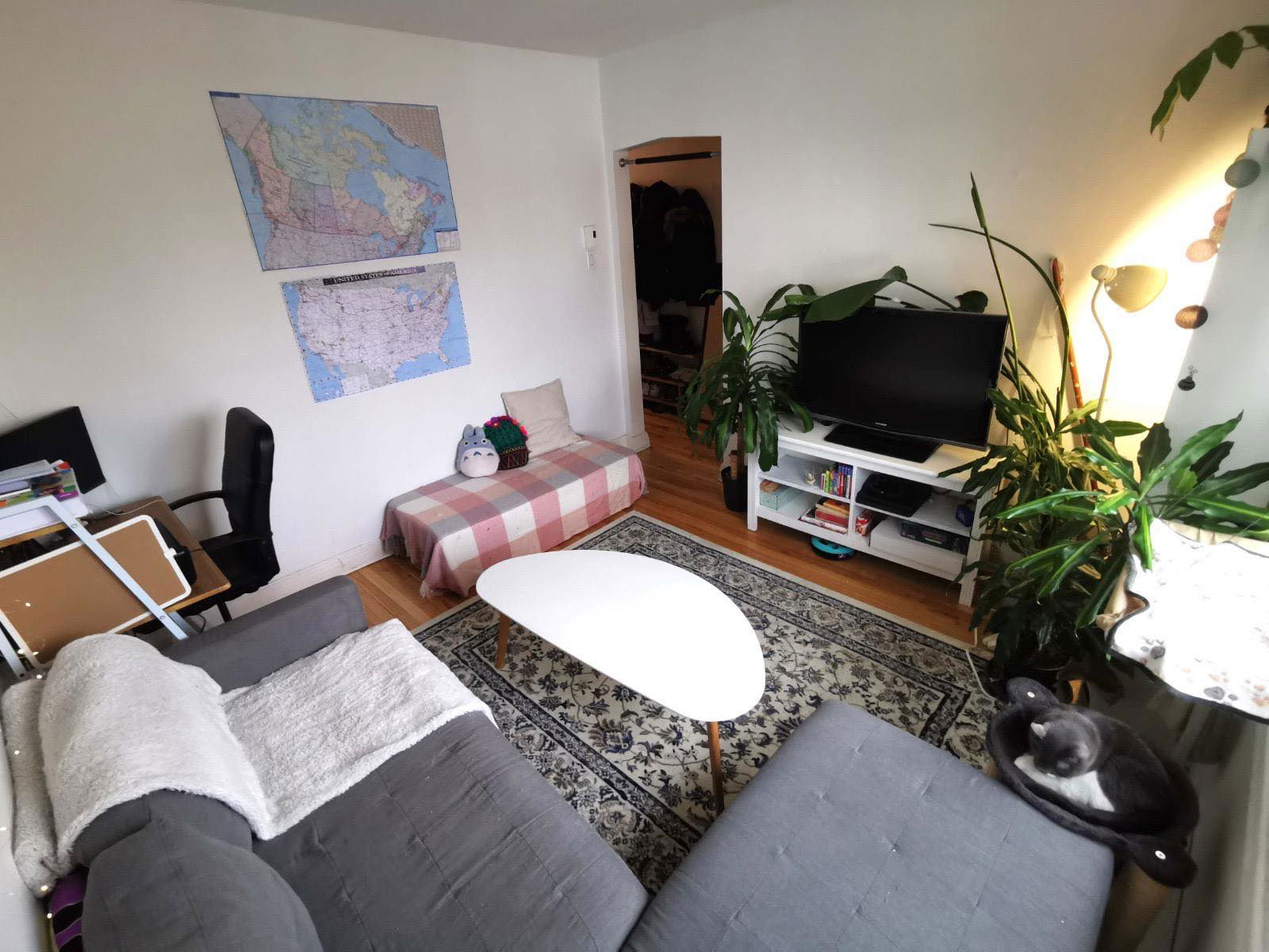 Colocation Montréal 397965