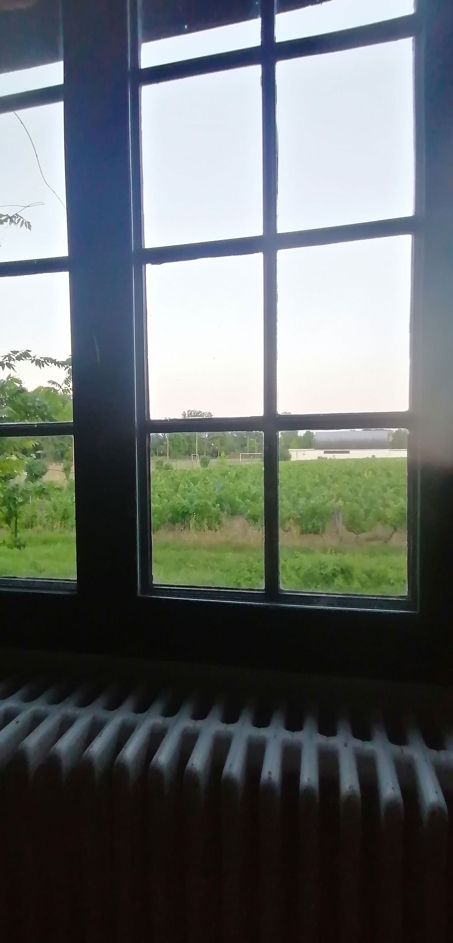 Homestay Preignac 116212