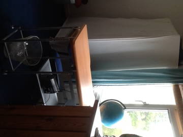 Room For Rent Newlyn 161274