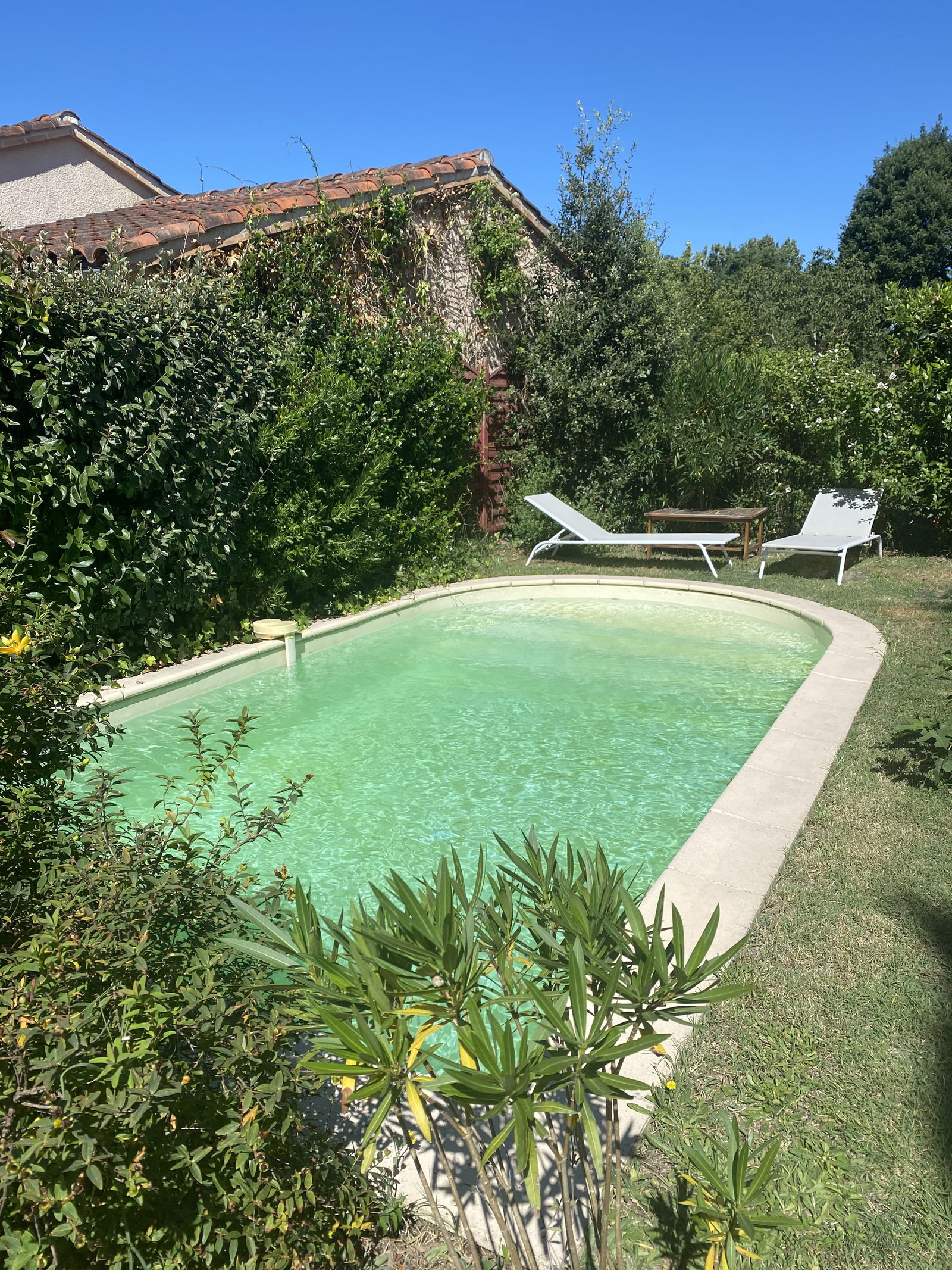 Homestay Albi 243903