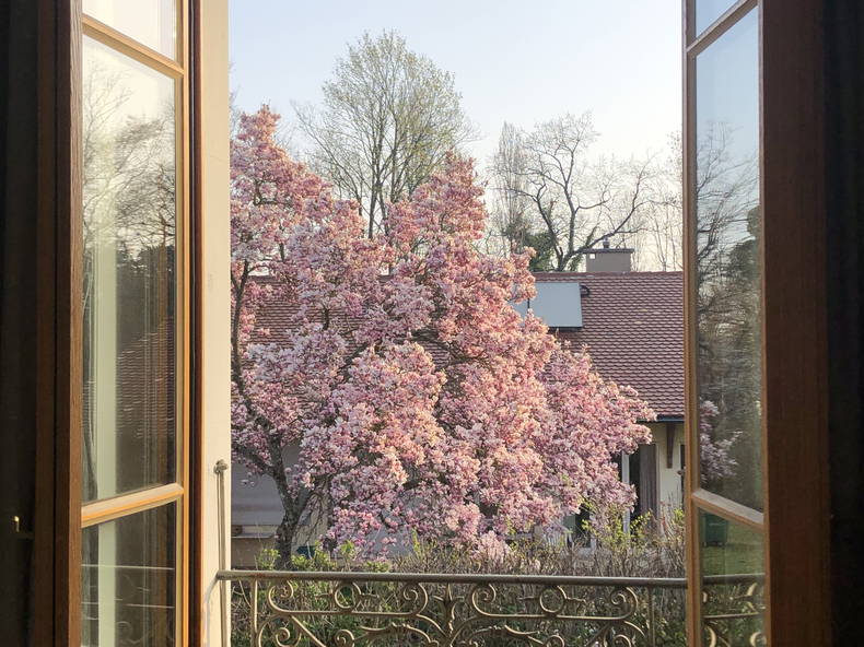 Chambre Chez L'habitant Troinex 264159-5