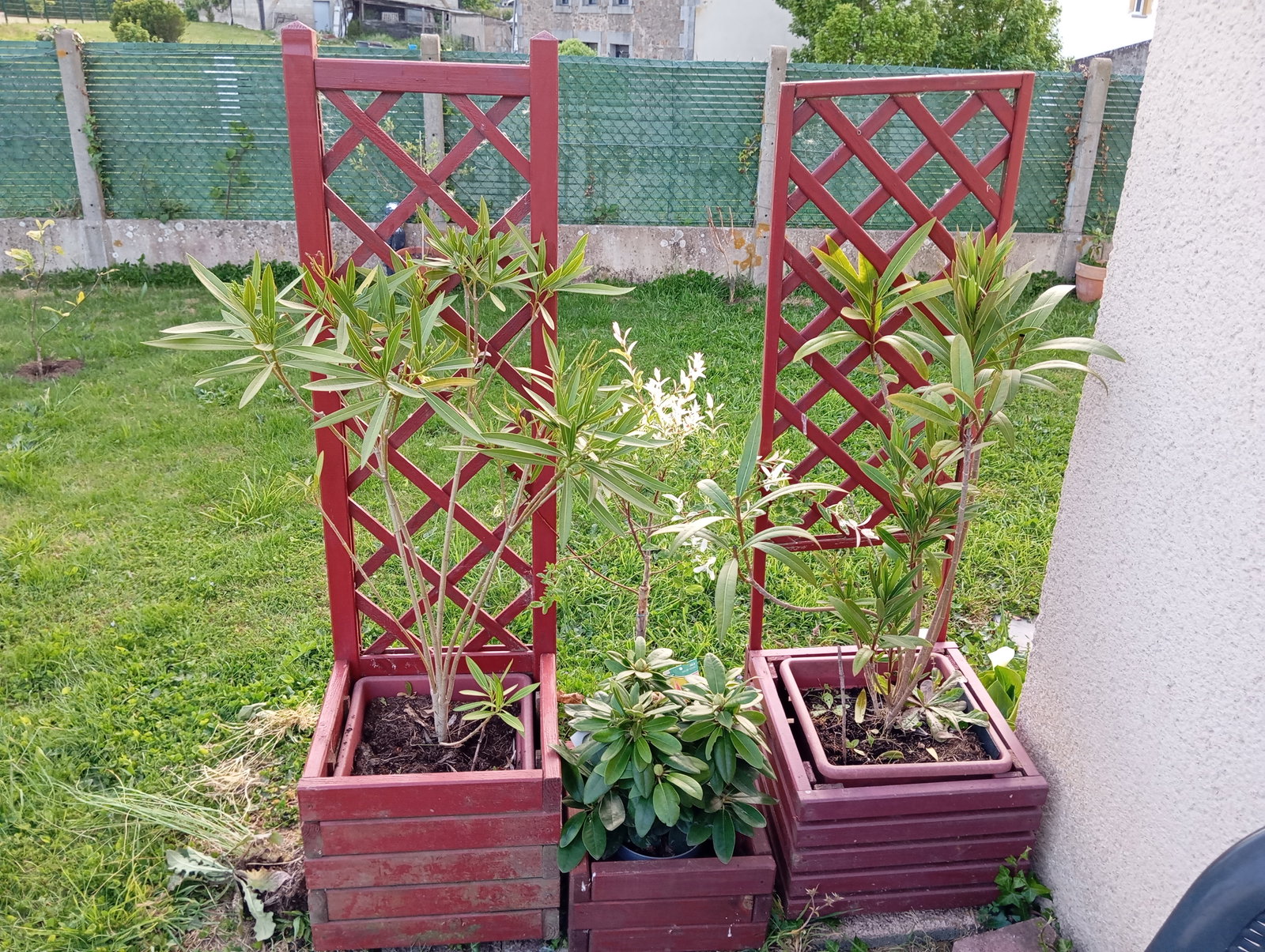 Homestay Plerguer 664718