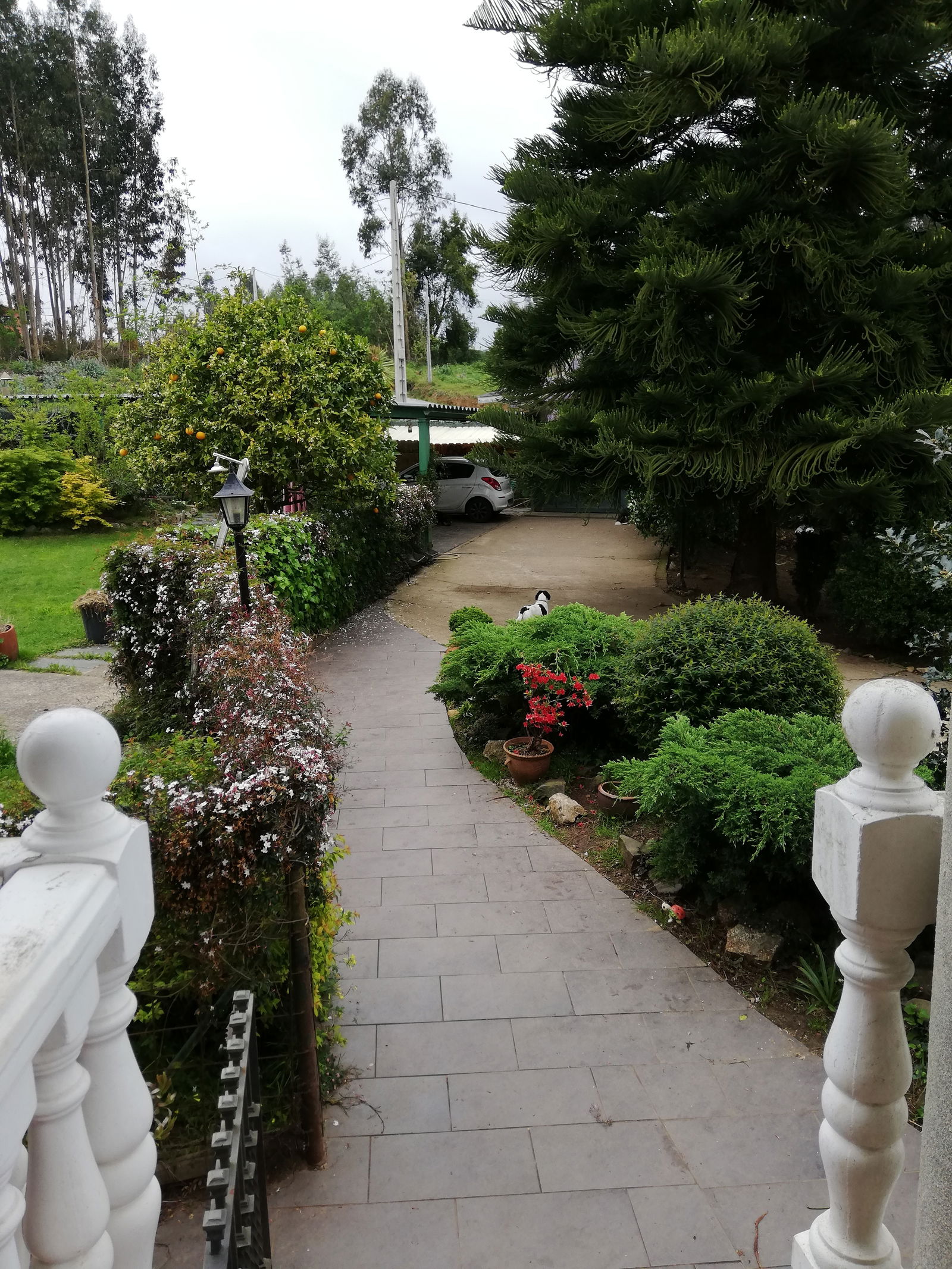 Homestay Sada 222177