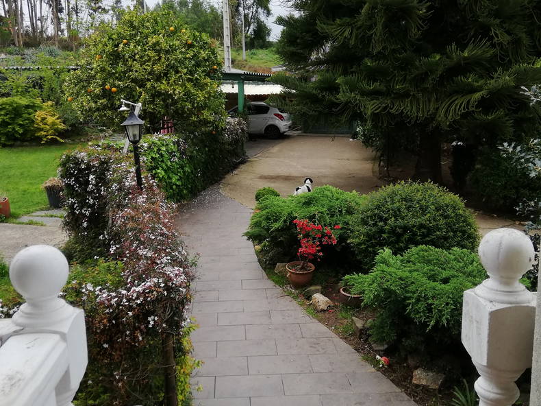 Gastfamilie Sada 222177-2