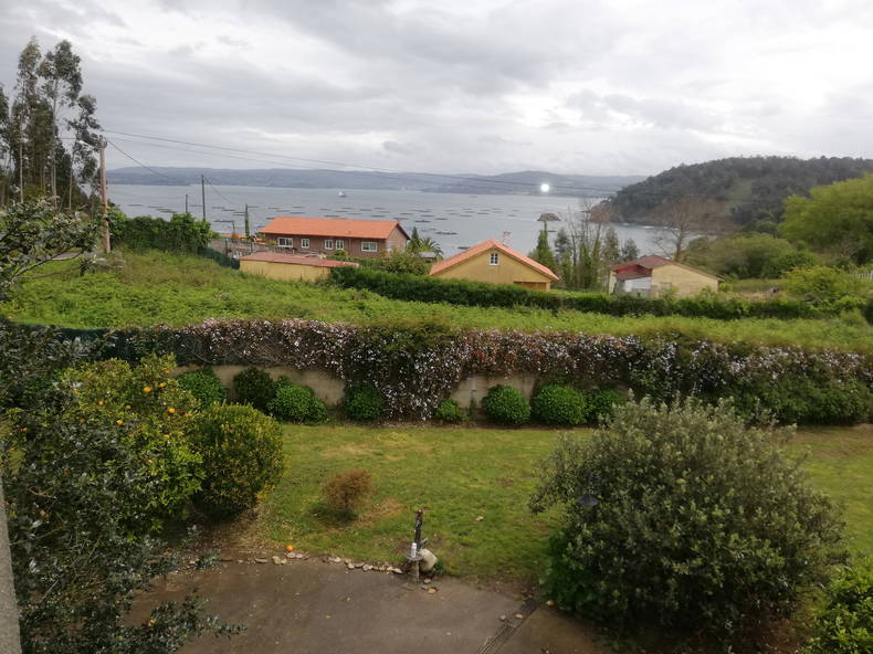 Gastfamilie Sada 222177-3