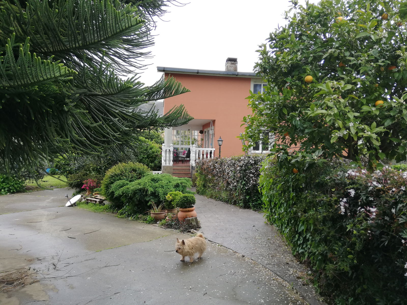 Homestay Sada 222177