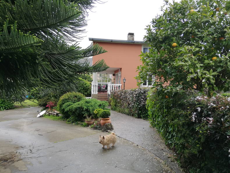 Gastfamilie Sada 222177-4