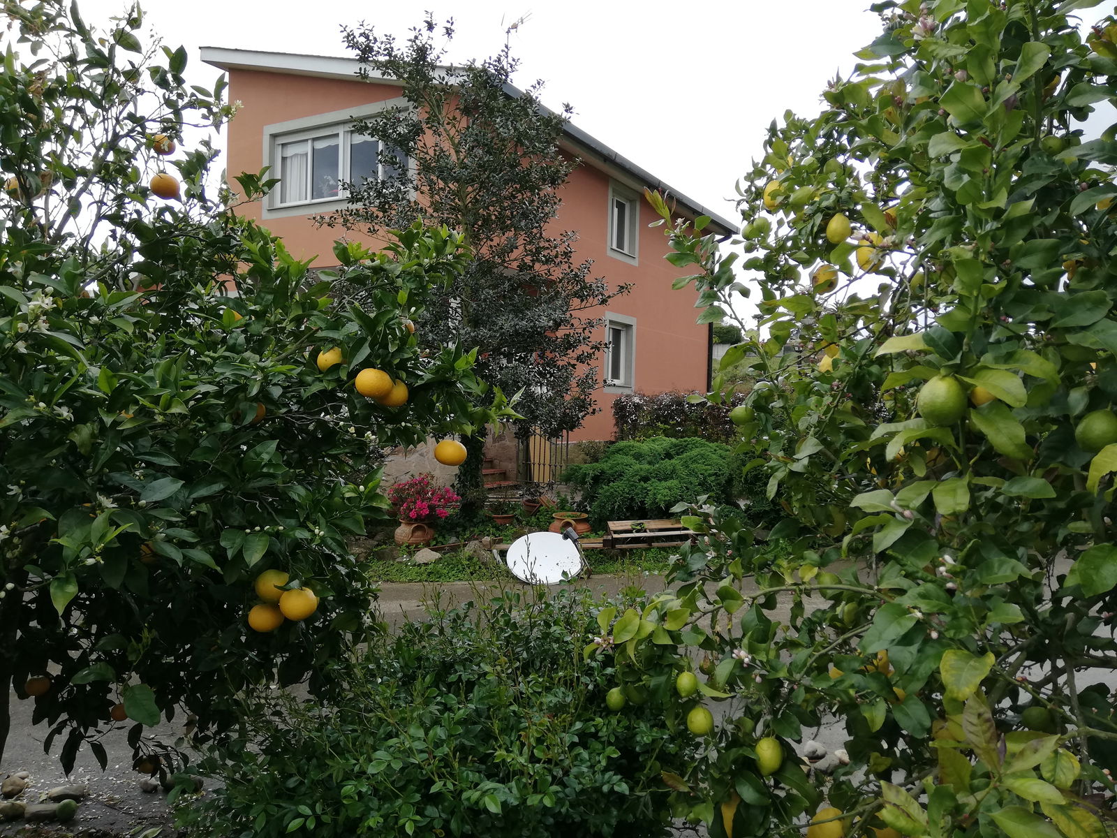 Homestay Sada 222177