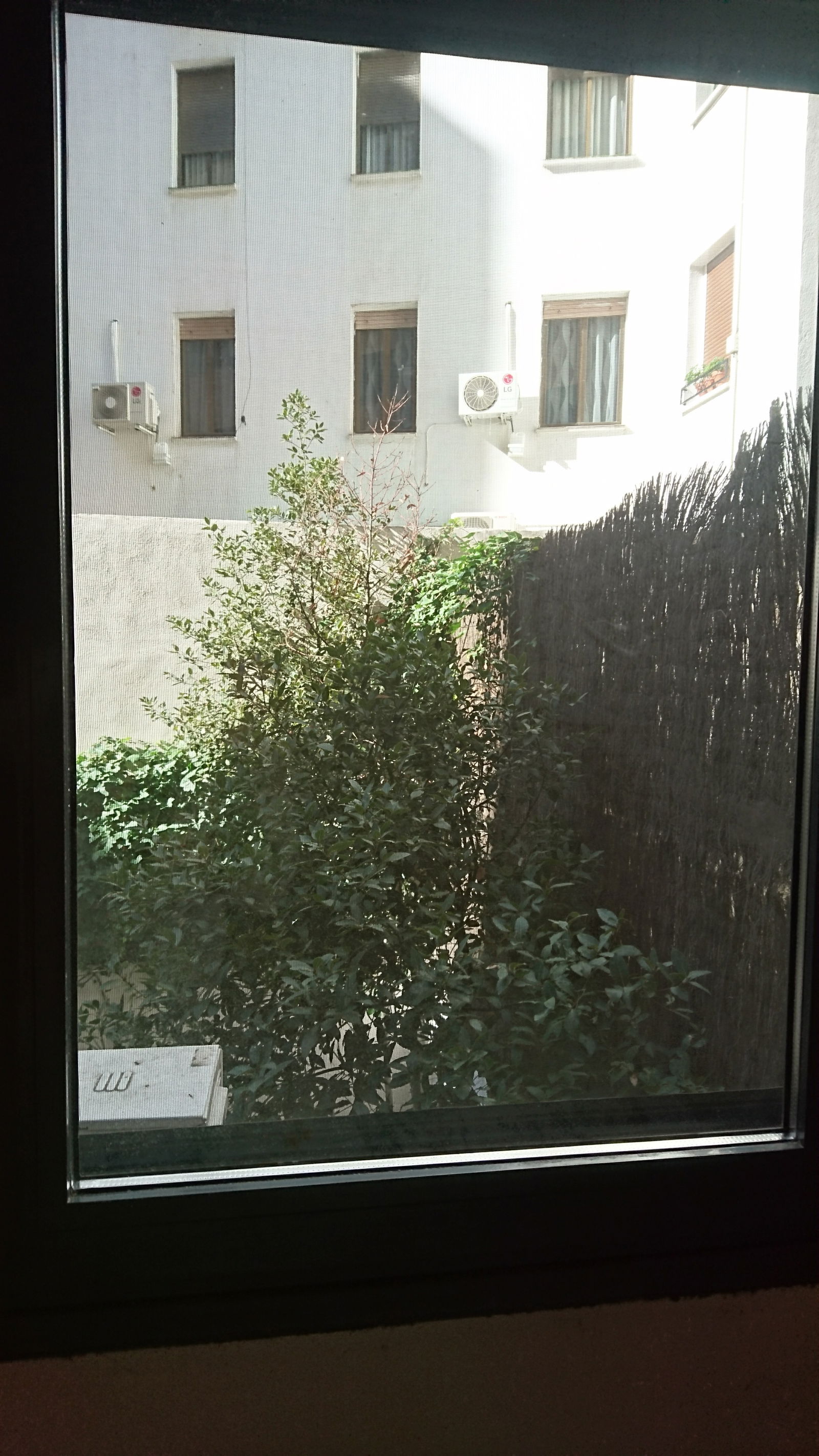 Homestay Madrid 194142