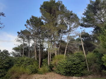 Homestay Ceyreste 243907-7