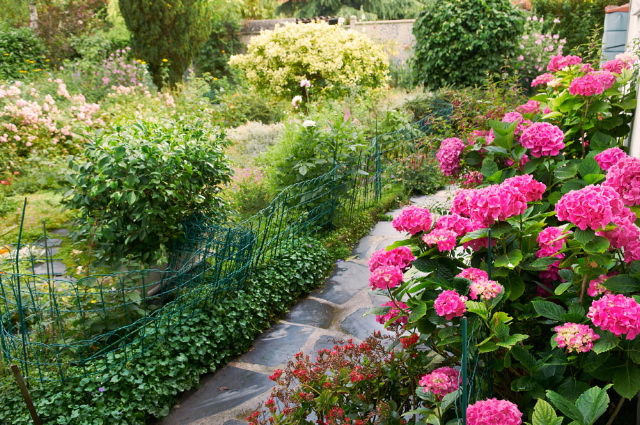 Homestay Le Pecq 63582