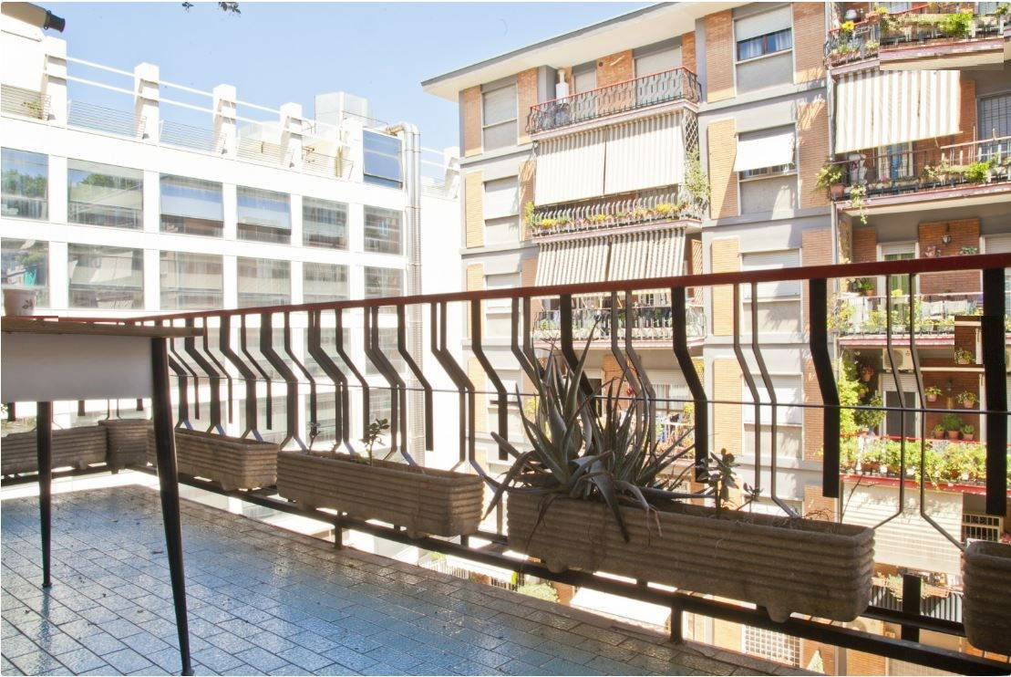 Homestay Roma 172957