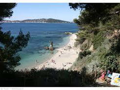 Colocation Toulon 222396-12