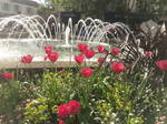Alojamiento Compartido Rueil-Malmaison 582724