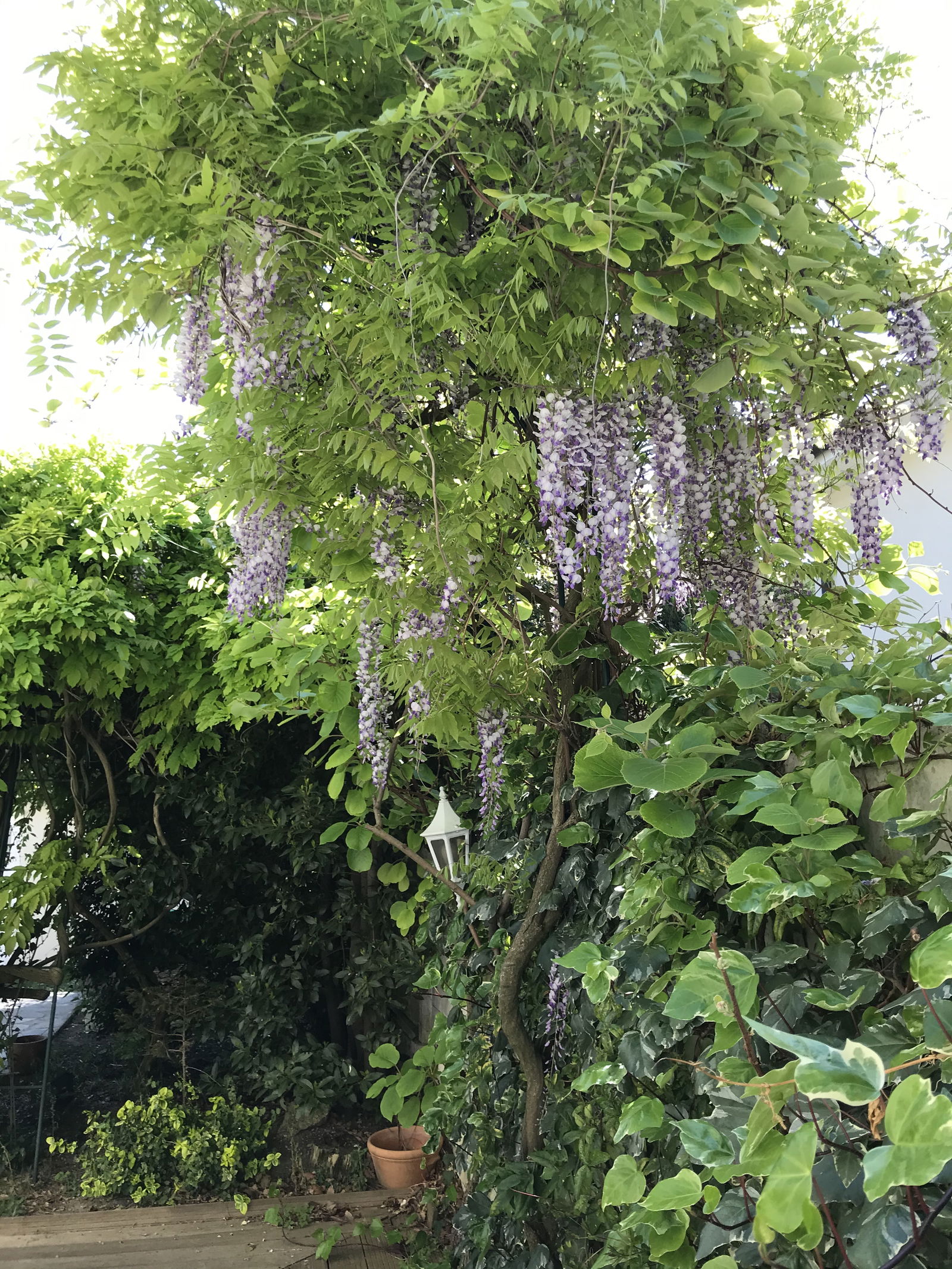 Homestay Saint-Maur-des-Fossés 259333