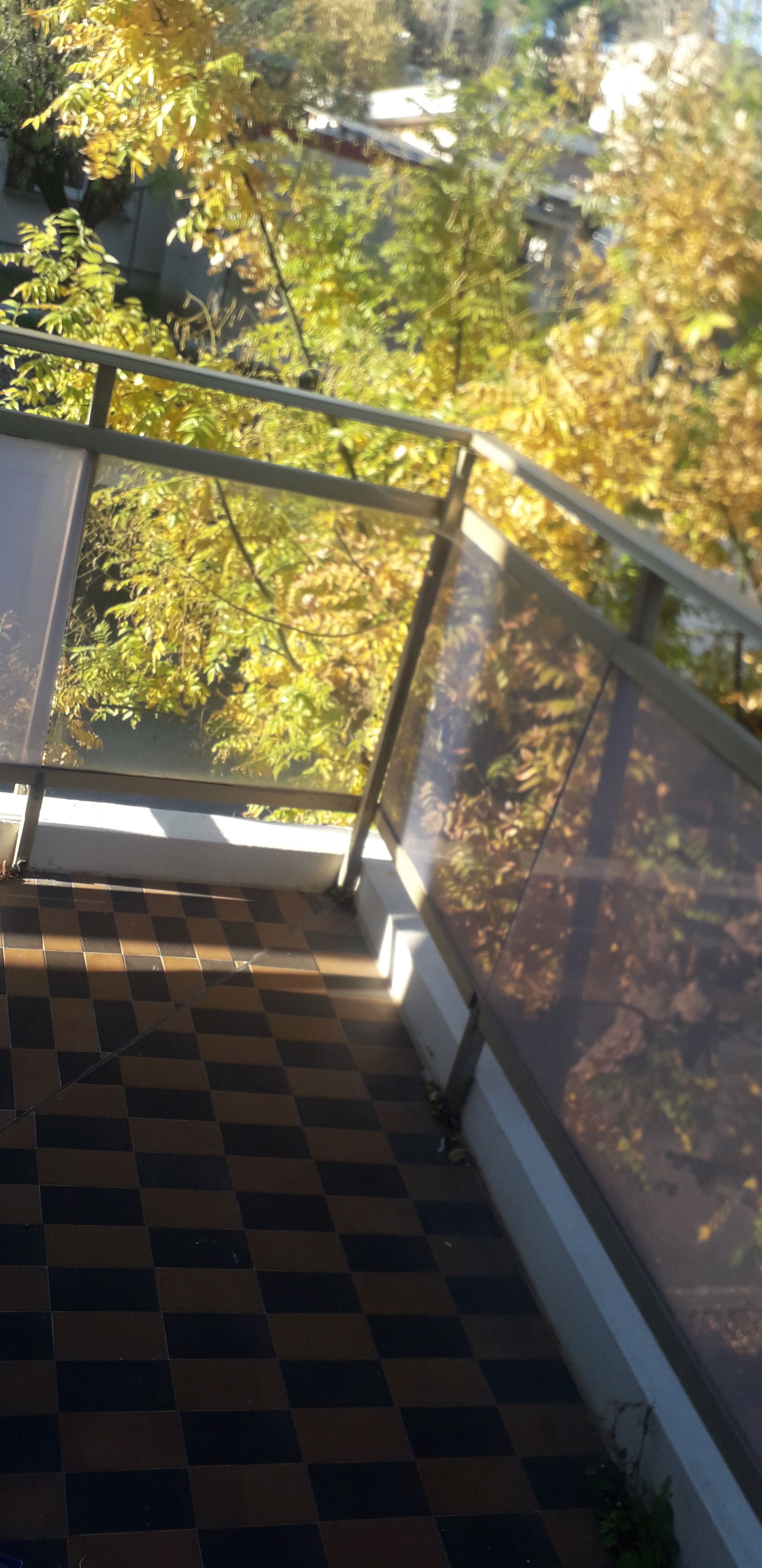 Homestay Montpellier 308064