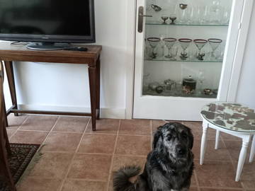 Chambre Chez L'habitant Madrid 249816-5