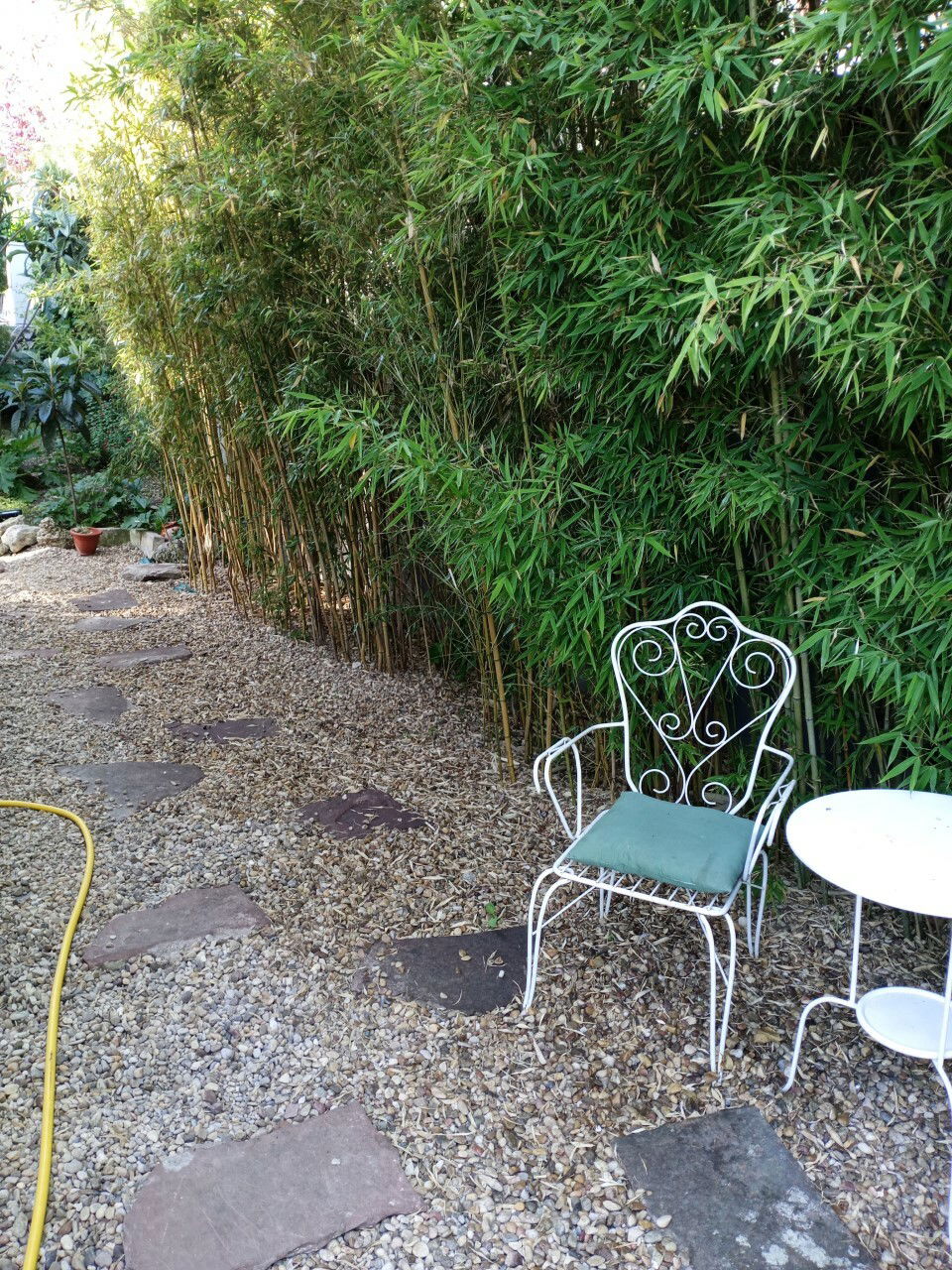 Homestay Madrid 249816