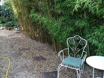 Chambre Chez L'habitant Madrid 249816-7