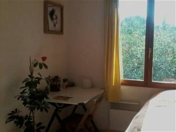 Room For Rent Montpellier 306276-1