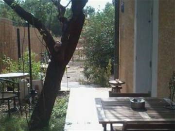 Room For Rent Montpellier 306276